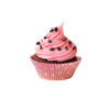 Strawberry Cupcake